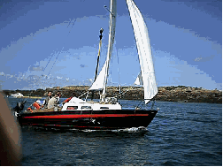 logo mousquetaire.gif (22141 octets)